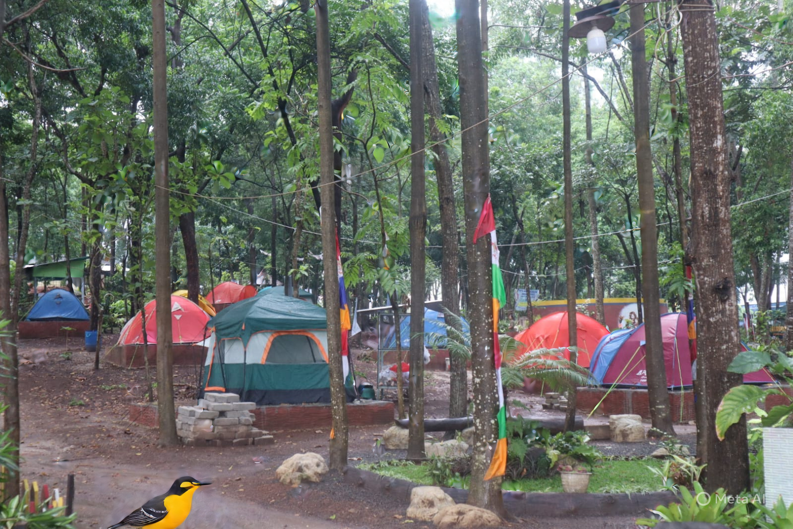 Camping Ground